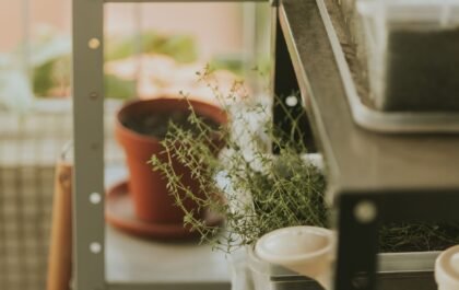 Cultiver ses herbes aromatiques chez soi, même sans jardin