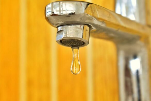 Comment économiser l'eau au quotidien : les bons réflexes