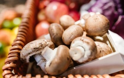 Comment conserver les champignons frais plus longtemps