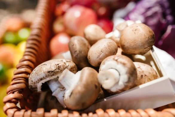 Comment conserver les champignons frais plus longtemps