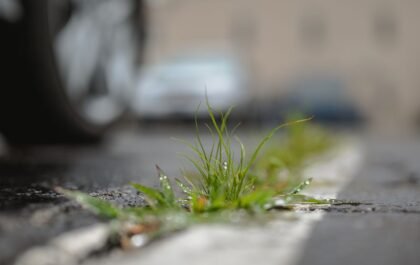 Desherber naturellement : vinaigre, sel et eau bouillante