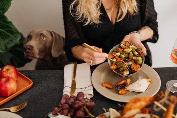 Cuisiner pour son chien : recettes maison saines et équilibrées