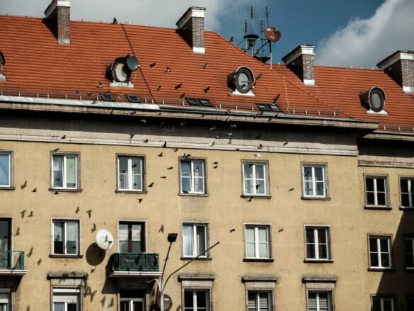 Anti-mouches maison : les astuces naturelles qui marchent