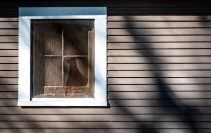 Anti-moustiques maison : les solutions efficaces et naturelles