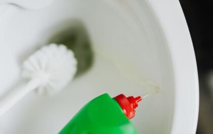 Détartrer les toilettes : les méthodes efficaces et naturelles