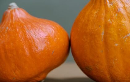 Conserver un potimarron : entier, entamé ou cuit, les bons gestes