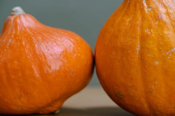 Conserver un potimarron : entier, entamé ou cuit, les bons gestes